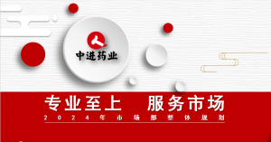 專業(yè)至上 ?服務(wù)市場? ——中進市場部召開2023年度工作會議